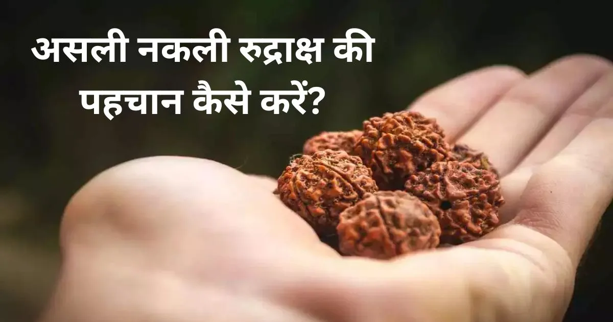 असली नकली रुद्राक्ष की पहचान कैसे करें? Asli or Nakli Rudraksh Ki Pahchan Kaise Karen