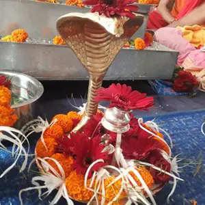 futurepoint-articles