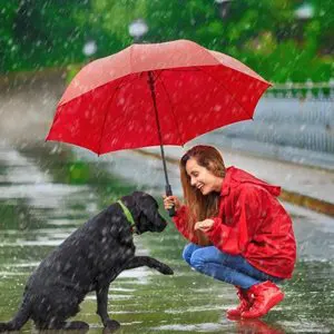 futurepoint-articles