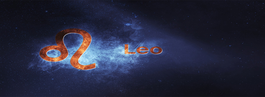 Leo2