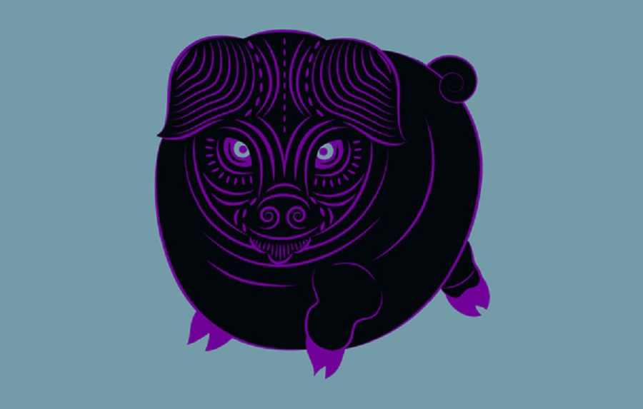 Pig