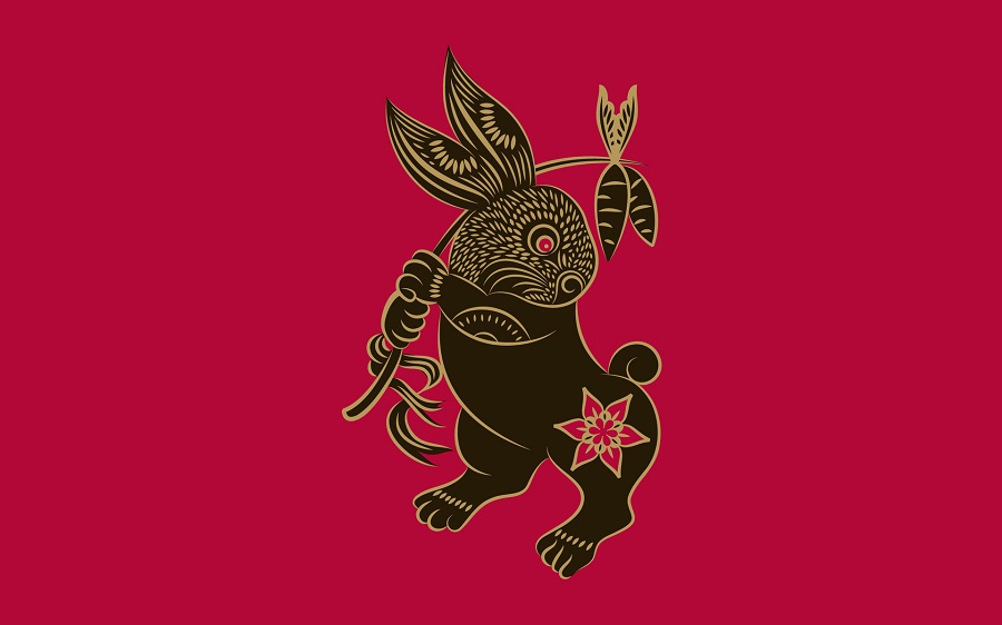 Rabbit