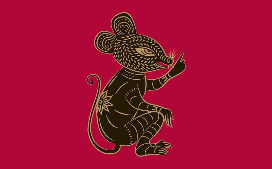 Rat