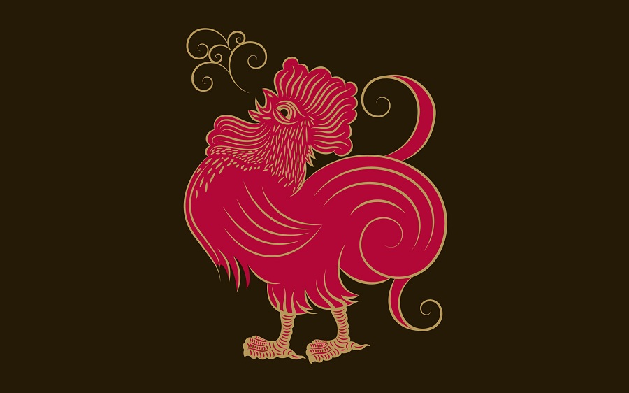 Rooster