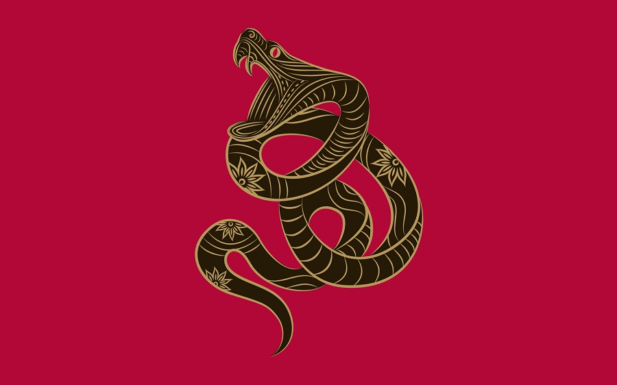 Snake