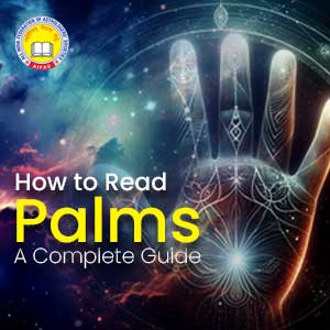 How to read Palm: A Complete Guide