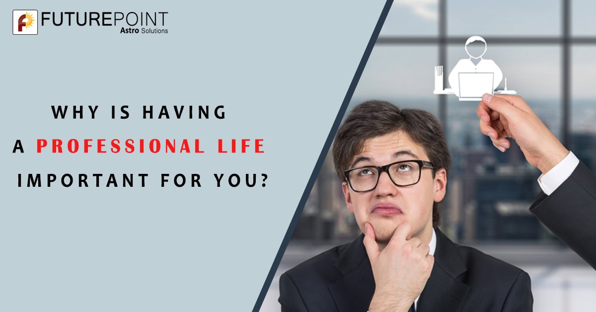 Why is Having a Professional Life Important For You?