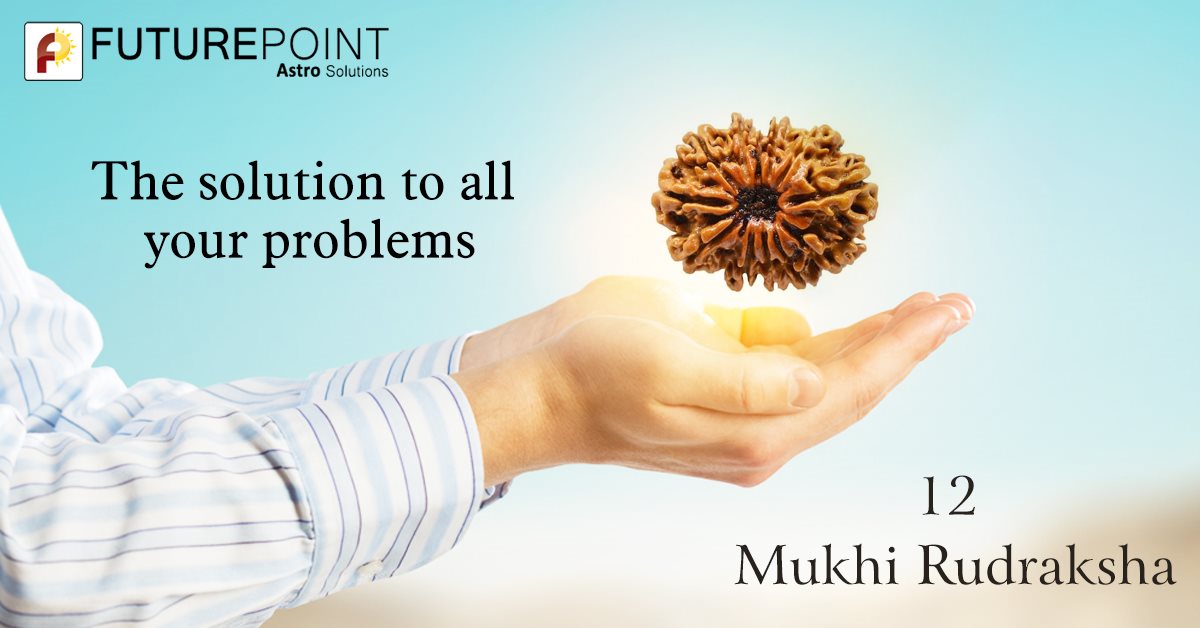 The solution to all your problems- 12 Mukhi Rudraksha