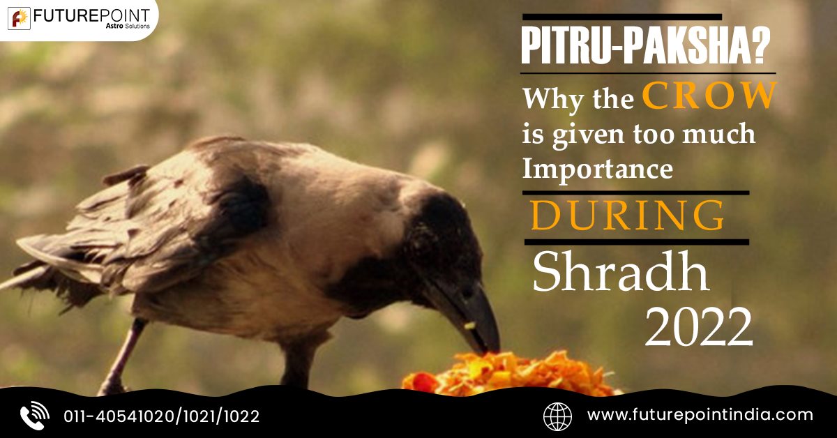 Why the crow is given too much importance during Shradh Paksha?