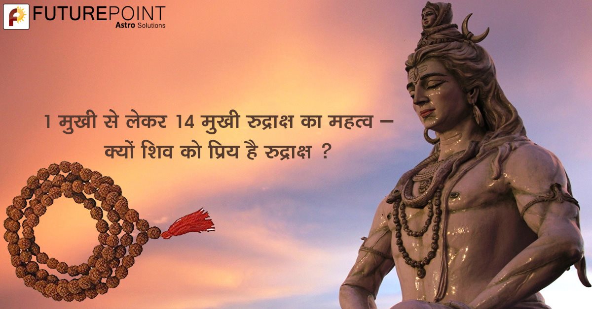 1 मुखी से लेकर 14 मुखी रुद्राक्ष का महत्व – क्यों शिव को प्रिय है रुद्राक्ष ?