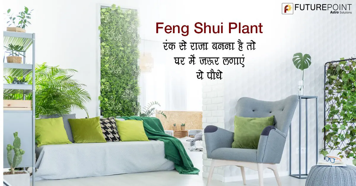Feng Shui Plant: रंक से राजा बनना है तो घर में ज़रूर लगाएं ये पौधे