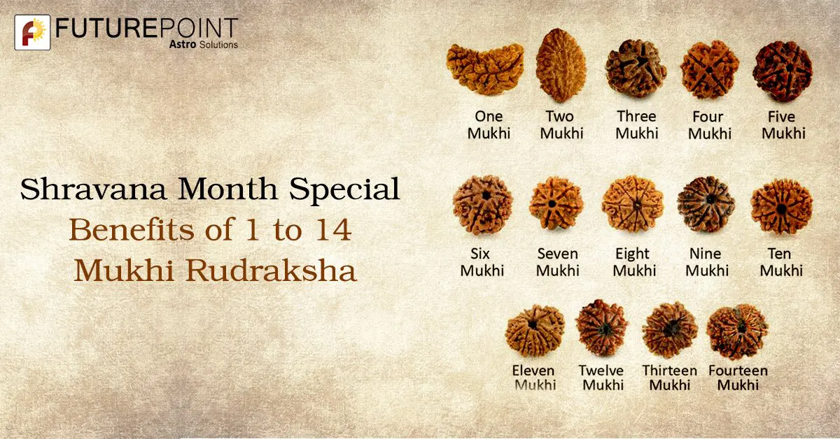 Shravana Month Special: Benefits of 1 to 14 Mukhi Rudraksha