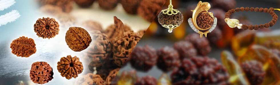 Rudraksha – AAHUTII