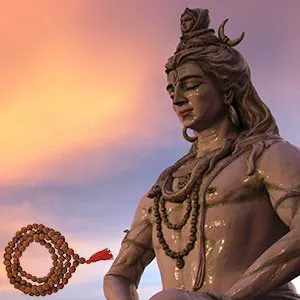 1 मुखी से लेकर 14 मुखी रुद्राक्ष का महत्व – क्यों शिव को प्रिय है रुद्राक्ष ?