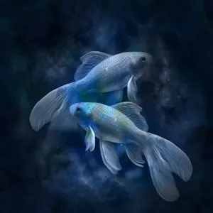 The Month of June for Pisces Zodiac Sign
