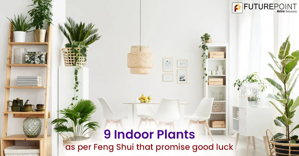 9 Indoor Plants as per Feng Shui that Promise Good Luck