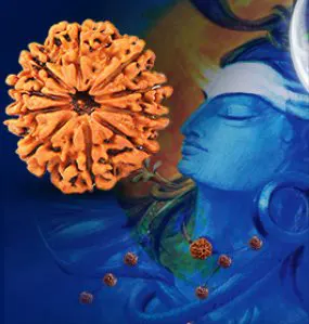 Benefits Of Wearing Rudraksha Ratna