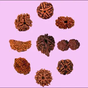 जानिए आपकी राशि के लिए बना है कौन-सा रुद्राक्ष