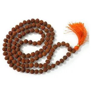 लक्ष्‍मी रुद्र माला – सिर्फ पैसा ही नहीं सेहत और मान-सम्‍मान दिलाने का एकमात्र उपाय है