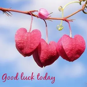 Astrology Tips to Enhance your Good Luck for the Day