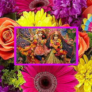 फुलेरा दूज – 8 मार्च, शुक्रवार, 2019