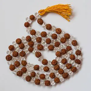 रुद्राक्ष एक - उपयोग अनेक