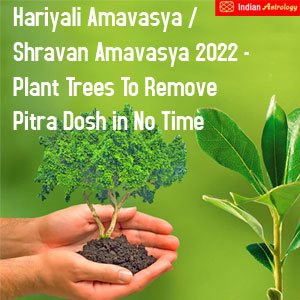 Hariyali Amavasya / Shravan Amavasya 2022 – Plant Trees To Remove Pitra Dosh In No Time!