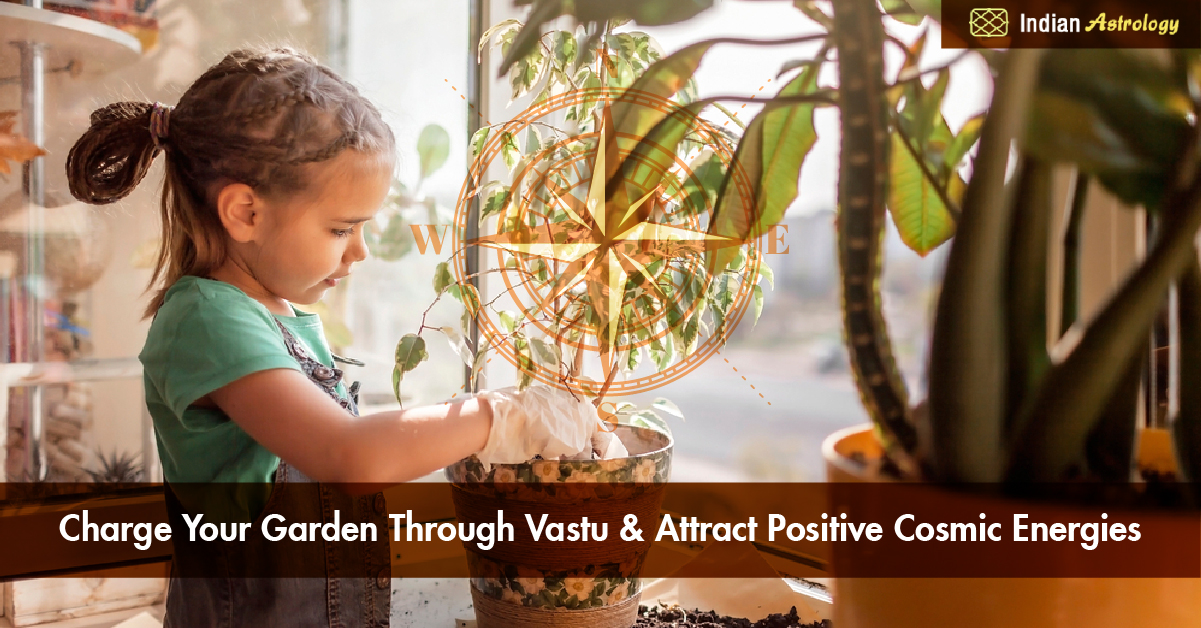 Charge Your Garden Through Vastu Attract Positive Cosmic