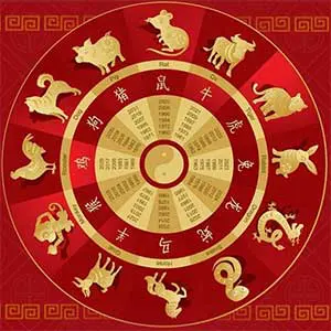 Learn Chinese Astrology