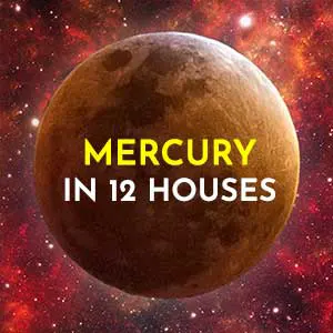 Mercury in 12 houses