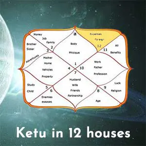 Ketu in 12 houses