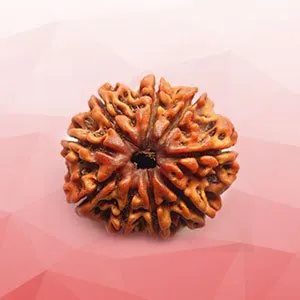 मां दुर्गा की विशेष कृपा प्राप्त करने के लिए धारण करें नौ मुखी रुद्राक्ष