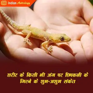 शरीर के किसी भी अंग पर छिपकली के गिरने के शुभ-अशुभ संकेत