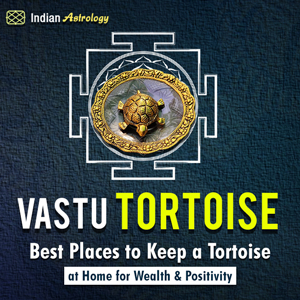 Vastu Tortoise: Best Places to Keep a Tortoise at Home for Wealth & Positivity