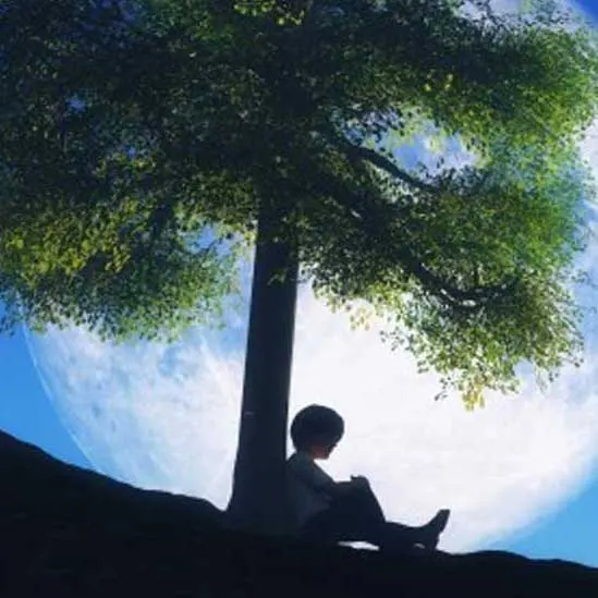 Sun- Cosmic splendour