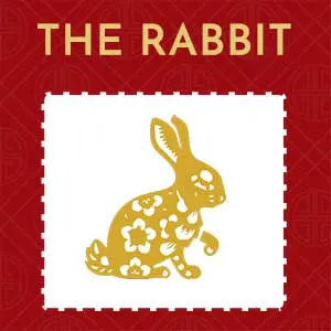 The Rabbit