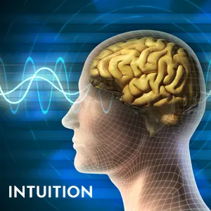 Intuition