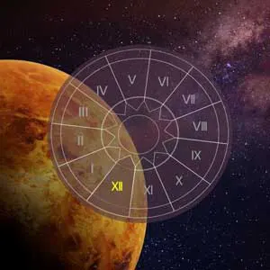 Venus in 12 houses