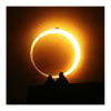 Eclipses in 2011