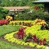 Role of Garden in Vaastu
